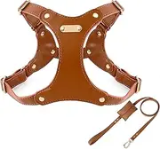 IUOUTG Leather Dog Harness and Leash Set with Adjustable Metal Buckle Soft Waterproof Material for Medium Dogs Easy Walking