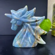 1pc Natural Blue Golem Quartz Carved unicorn Skull Crystal Reiki Healing decor