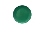 Single Colour Melamine Dinner Plate (Forrest Green) - 25cm