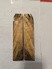 Stabilized Spalted Maple Knife Scales #33