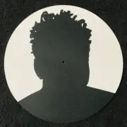 Tracy Chapman - Self Titled Limited Exclusive Promo Vinyl Slipmat Rhino Records
