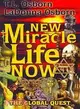 New Miracle Life Now: The Global Quest