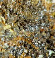 Mitridatite Crystals Klemm's Quarry. Sth Australia. (EA10034) rare phosphates