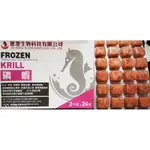 冠昱水族-磷蝦FROZEN KRILL  每片100G裝