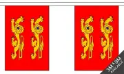 NORMANDY 3 metre BUNTING 10 FLAGS flag FRANCE FRENCH