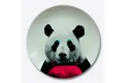 Mustard Wild Dining 23cm Ceramic Dinner Plate Home Kitchen Dinnerware Panda