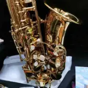 Popular Saxophone Alto YAS-82Z Saxophone Instrument High Quality with Case