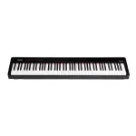 NUX 電鋼琴 NPK-10 88鍵 數位鋼琴 不含琴架