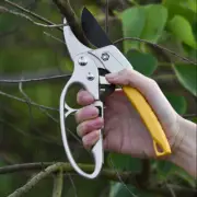 Pruning Shears Shrub Garden Scissor Tool Plant Clippers Cutter for Gardening