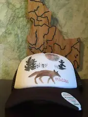 Patagonia W’s Howling Wonder Brown Interstate hat FA16