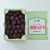 在飛比找松果購物優惠-【日本長崎產地直送】進口珍珠葡萄(2kg)(約22串) (4