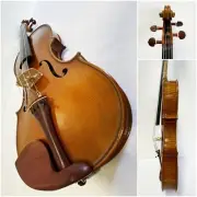 VIOLA 16" SIZE, PROFESSIONAL SETUP + DOMINANT STRINGS + AUBERT BRIDGE +CASE+BOW
