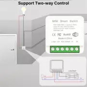 Tuya 2gang Wifi Switch Smart Switch 10A/ 16A Voice Remote Control Breaker Works