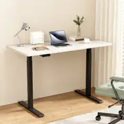 Standing Desk Electric Height Adjustable Sit Stand Desks Black White