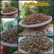 Ceylon Dried Homemade Coffee Beans 100% Organic Dry Bean Seeds Free Shipping