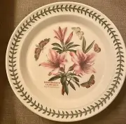 Botanic Garden, PORTMEIRION~Lily Flowered Azalea~Dinner Plate