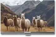 [LQPMNK] Metal Card Case, Llamas in The Andes Print Professional Card Case Premium Card Case Lightweight Card Holder Pocket Card Case, style, Style