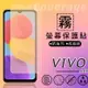 霧面螢幕保護貼 Vivo Y17s 保護貼 軟性 霧貼 霧面貼 磨砂 防指紋 保護膜 手機膜