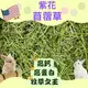 艾彼兔 苜蓿草 牧草 紫花苜蓿 過篩400g 提摩西 提摩西二割 提摩西一割 幼兔