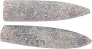 JECOMPRIS 2pcs Belemnite Specimen Decoration Home Decor Specimen Decoration Teaching Supply Teaching Accessory Educational Epifaunal Adornment Models Hotel Decor Natural Belemnite Ore
