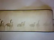 GEESE STANDING IN A FOGGY LAKE PREPASTED WALLPAPER BORDER #LD3311BD