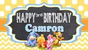 Winnie the Pooh, Baby Winnie the Pooh and Friends Personalized Birthday Banner