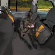 Kurgo Wander Car Dog Seat Hammock Cover Black