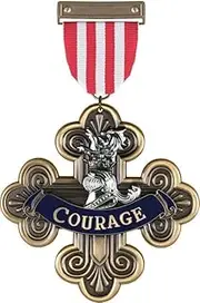 Ikon Design Studio The Wizard of Oz - Courage Medal Replica, 12 cm Height