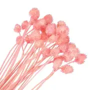 30 Pcs 16 Inch Dried Flowers for Vase Mini Pine Ball Flowers Pink(Stem)
