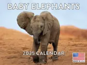 Baby Elephant Calendar 2025 Monthly Wall Calender 12 Month | American Made in th