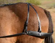 MULE SIZE Any Color SADDLE BREECHING made from Beta Biothane