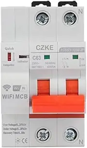 XNWKF YCB9ZF 2P 3P 4P WiFi Smart Circuit Breaker Short Circuit Protection Timed Smart Reclosing Switch Remote Control(2p,25A)