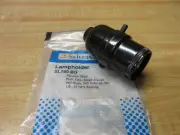 Selecta Switch SL160-BG Lampholder SL160BG