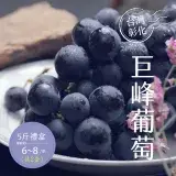 在飛比找遠傳friDay購物優惠-【禾鴻】彰化溪湖溫室巨峰葡萄5斤x2盒(6-8串/盒)【預購