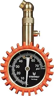 ETENWOLF Tire Pressure Gauge for Cars 0-75 PSI, Air Pressure Gauge with Large Glow Dial, Calibrated to ANSI B40.1 Grade A(Plus-Minus 1%), Tire Gauge for Tire Pressure Car Accessories (Vivid Orange)