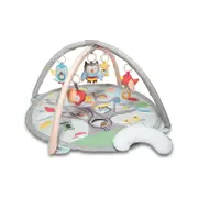 Skip Hop Treetop Activity Gym - Grey Pastel for Fun Play