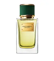 Dolce & Gabbana Velvet Vetiver EDP 100ml