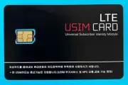 KOREA SIM CARD_UNLIMITED TALK, TEXT, & DATA (60 DAYS)