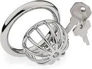 Sex Toys Inverted Chastity Cage Chastity Lock Couple Lock Chastity Device Penis Cage Sissy Inverted Chastity Erection Ring Bondage for Lover