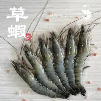 在飛比找momo購物網優惠-【蝦拼海鮮】天然活凍草蝦｜10P