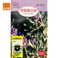 在飛比找momo購物網優惠-【特力屋】花田綠地種子-狹葉薰衣草