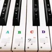 Lertenys Piano Keyboard Stickers for 88/61/54/49/37 Key, Bold Large Letter Piano Stickers for Learning, Removable Piano Keyboard