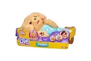 Little Live Pets - Cozy Dozys: Charlie The Puppy Interactive Plush Toy Dog. 25+ Sounds and Reactions. Magical Eye Movement. Blanket, Pacifier and Batteries Included. for Kids Ages 4+.
