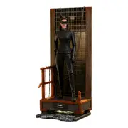 Batman The Dark Knight Trilogy Catwoman 1:6 Collectable Figure