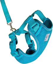 RC Pets Adventure Kitty Harness Includes Adjustable, Airmesh Fabric, 6' Leash and D-Ring Cat Walking Harness | Teal, Medium