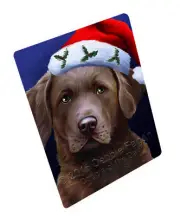 Christmas Chesapeake Bay Retriever Dog Santa Hat Woven Throw Sherpa Blanket T06