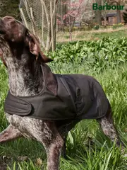 Barbour® Olive Green Wax Dog Coat (556786) | $110