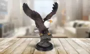Eagle Statue 7"H Wild Animal ative Figurine Ornament Home Decor Unique Gift