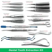 17Pcs Periodontal Tooth Extraction Elevators Kit Dental Oral Surgery Instruments