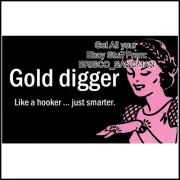 Fridge Fun Refrigerator Magnet GOLD DIGGER: SMARTER THAN A HOOKER Funny